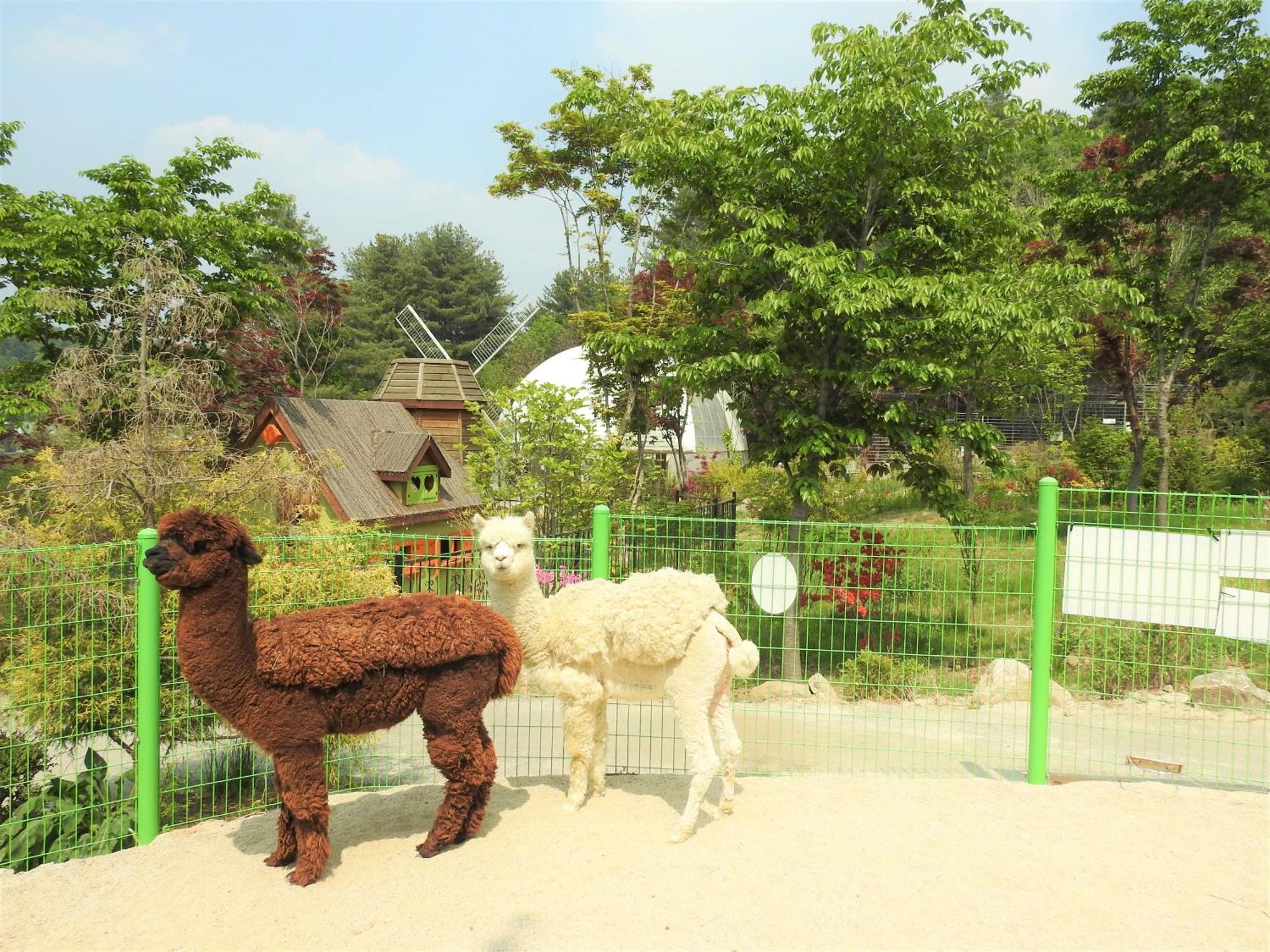 Kensington Resort Gapyeong Bagian luar foto