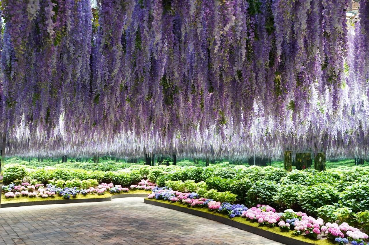 Kensington Resort Gapyeong Bagian luar foto